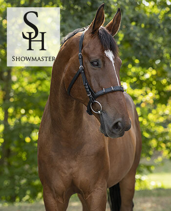 SHOWMASTER longeren & grondwerk