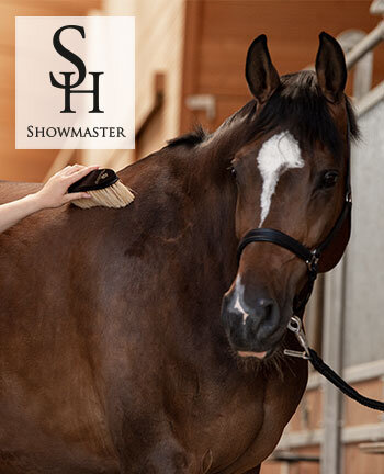 SHOWMASTER poetsspullen