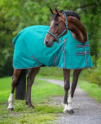 Paardendekens
