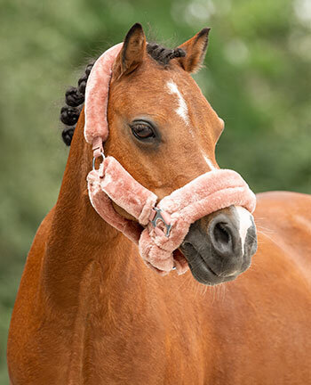 Pony's & veulens