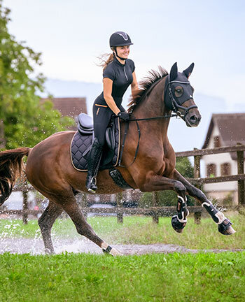 Tirannie tegenkomen leraar Thema's - NIEUW - Kramer Paardensport