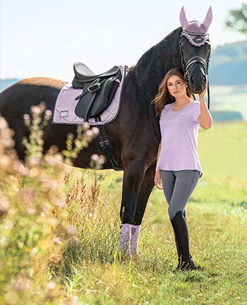 Setjes voor het paard