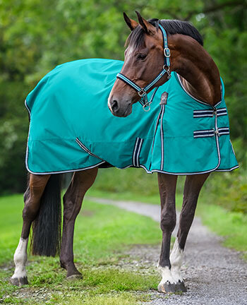 Paardendekens