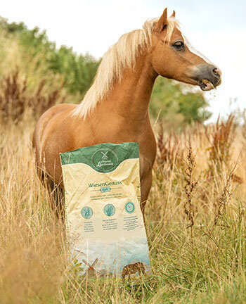 Paardenvoer & voedingssupplementen
