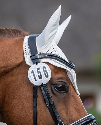 Wedstrijd accessoires voor paarden