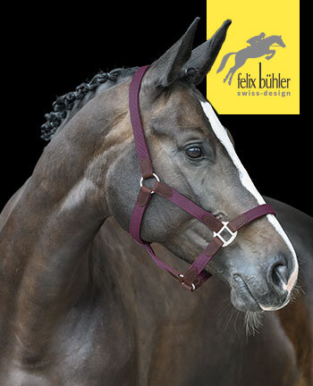 Felix Bhler halsters & touwen