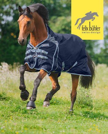 Felix Bhler paardendekens