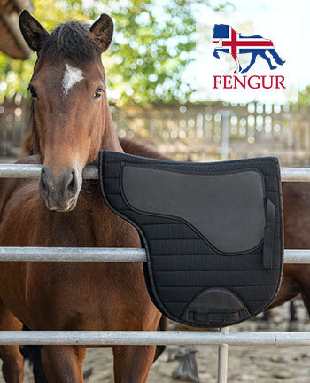 FENGUR paard