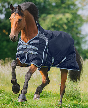 Paardendekens