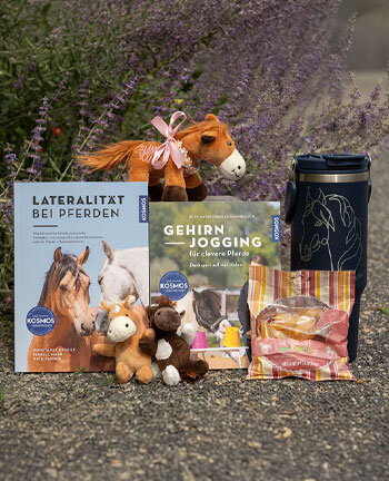 Geschenkartikelen