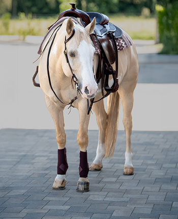 Westernpaarden