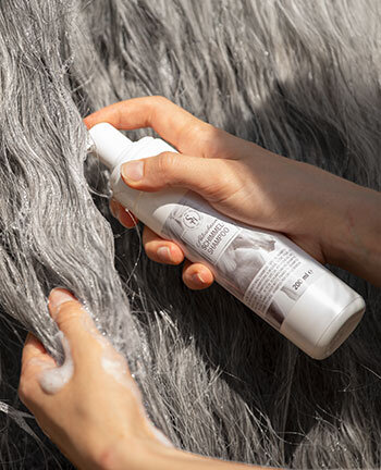 Shampoos & droogshampoos