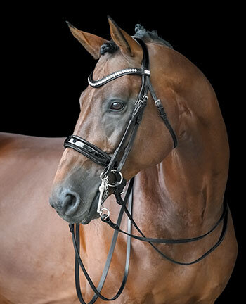 Zweeds hoofdstellen & stang en trens