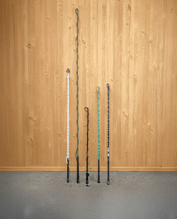 Longeerzwepen