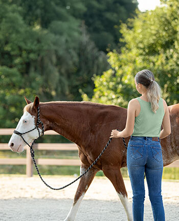 Horsemanship & vrijheidsdressuur