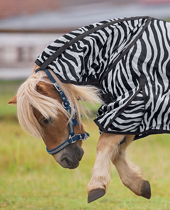 Pony vliegenbescherming