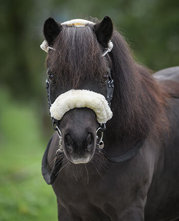 Pony accessoires