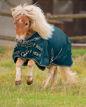 Pony- en veulendekens