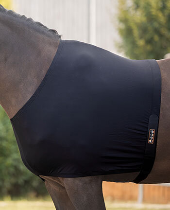Therapieartikelen voor paarden