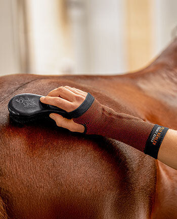 Therapieartikelen voor ruiters