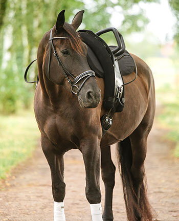 Voltige singels & accessoires