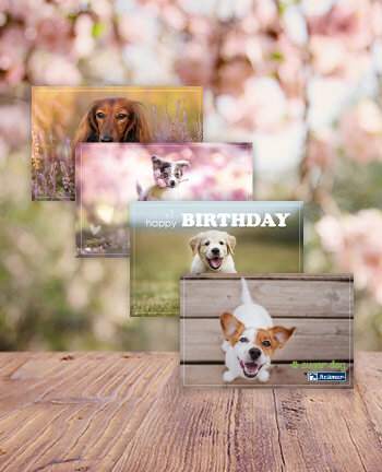 Cadeaubonnen Hond met envelop (per post)