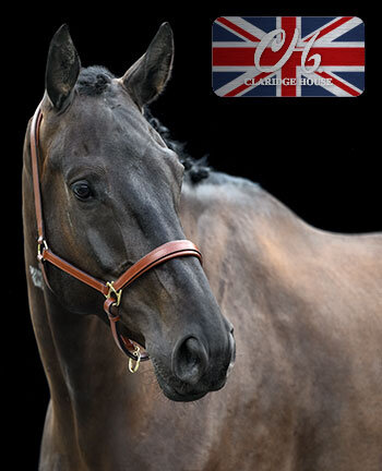 CLARIDGE HOUSE - halsters