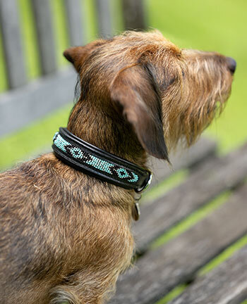 Hondenhalsbanden & -tuigjes