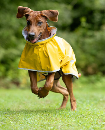 Regenjassen zonder vulling, 0 g