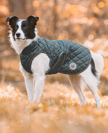 Winterjassen met vulling, vanaf 50 g