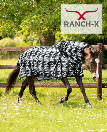 RANCH-X paard