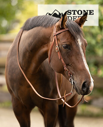 STONEDEEK hoofdstellen & accessoires