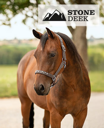 STONEDEEK halsters & touwen