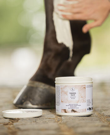 Pees, ligamenten & gewrichten