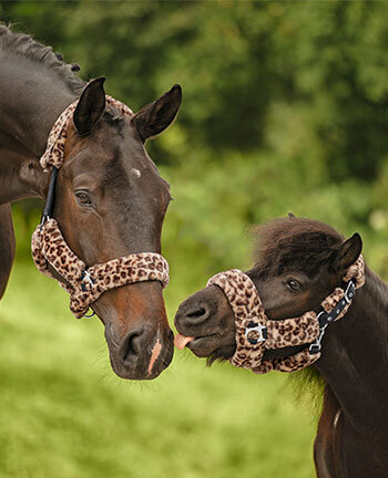 Teddyfleece artikelen