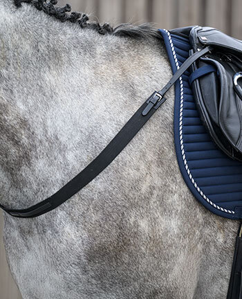 Borsttuig & martingaal