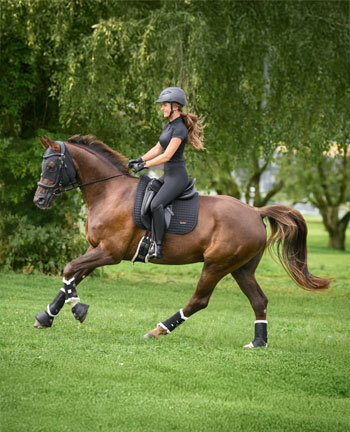 Therapieartikelen voor paarden