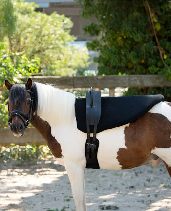 Voltige singels & accessoires