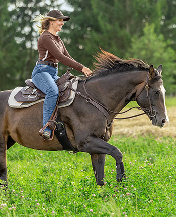 Western pads & show blankets