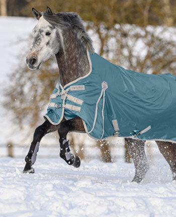 Verpersoonlijking Vermoorden Patois Regendekens & winterdekens voor paarden | kramer.be