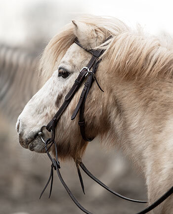 Western pony's