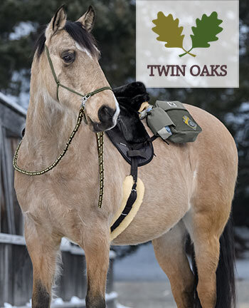TWIN OAKS paard