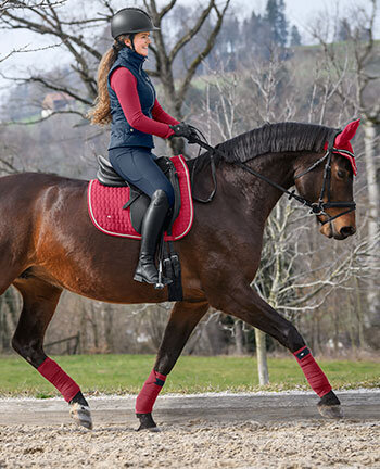 SHOWMASTER Basic