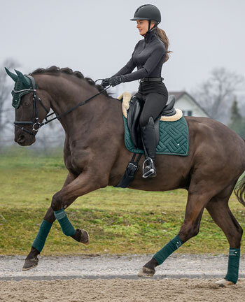 SHOWMASTER Brilliant