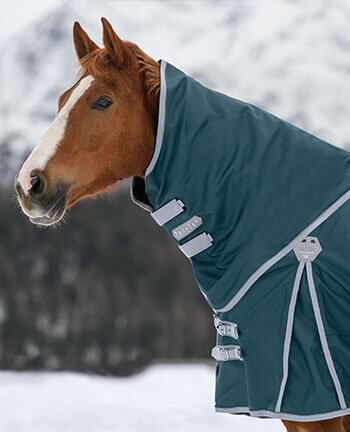 Paardendeken accessoires