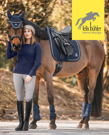 Felix Bhler collecties