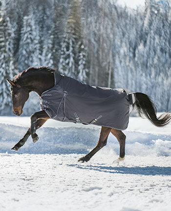 Paardendekens