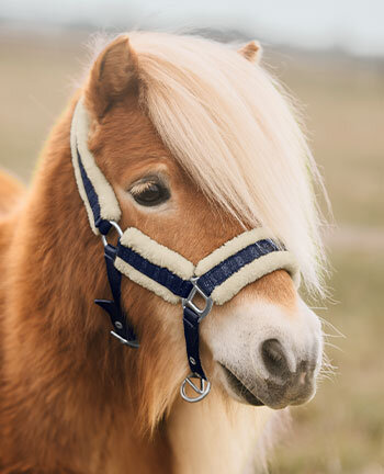 Pony- & veulenhalster