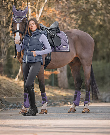 Setjes voor het paard