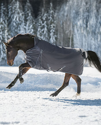 Paardendekens